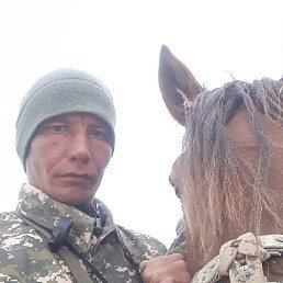 ����� ���������, ������, 38 ���