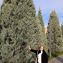 ���� ���������, ������ - ��������� 23 ������ 2024 � ������ ���� ����������