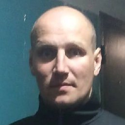 �������, ������, 41 ���