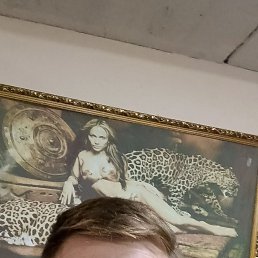 �����, 44 ����, ��������