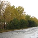 ���� ����, ����, 75 ��� - ��������� 29 ������� 2023 � ������ ���� ����������