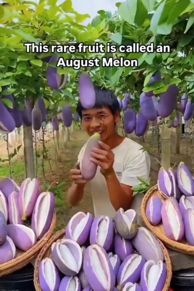 Что это за фрукт такой? - 2