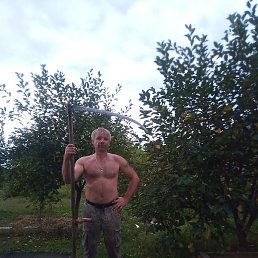 ������, �����������, 47 ���