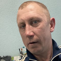 ��������, �����������, 41 ���