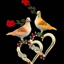 ������, �����������, 39 ���