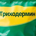 ���� ��������, �����, 60 ��� - ��������� 22 ����� 2026 � ������ ������ ��������