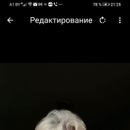 ���� ����, �����, 69 ��� - ��������� 26 ������� 2026