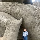 ���� �����, ������������, 41 ��� - ��������� 25 ������� 2024 � ������ ���� ����������