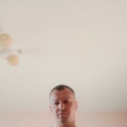 ���� ����, ������, 49 ��� - ��������� 16 ������� 2026