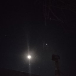 ������� �������, ������, 55 ���