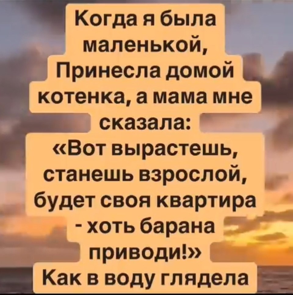  - 11  2025  14:05