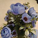 ���� ���������, ���������� �����, 43 ���� - ��������� 10 ������ 2026 � ������ ���� ����������