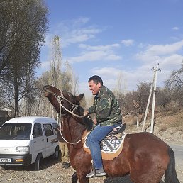 ��������, ������, 38 ���