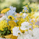 ���� ����, ���������� - ��������� 11 ������ 2026 � ������ ������ ��������