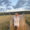 ���� ����, �������, 39 ��� - ��������� 11 ������� 2026