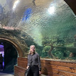 �������, ������, 55 ���