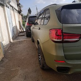 ����, �����-���������, 20 ���