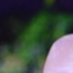 ������, ������-��-����, 39 ���