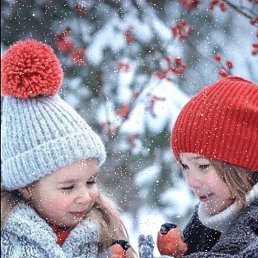 Viki, ���������