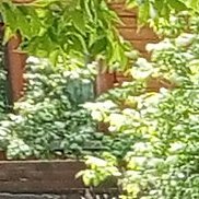 �����, 18 ���, �����