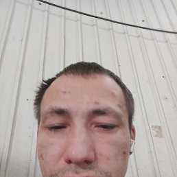 ������� ��������, 38 ���, �������
