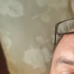 ����, ���������, 44 ����