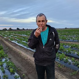 ������, ����, 53 ����