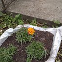 ���� ��������, ������ - ��������� 5 ������� 2025