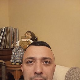 , 40, 