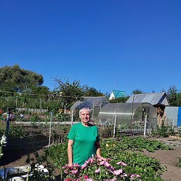 �������, ���������� �����, 66 ���