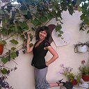 ���� ������, �����, 38 ��� - ��������� 12 ���� 2026 � ������ ���� ����������