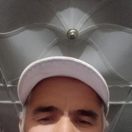 , 46, 