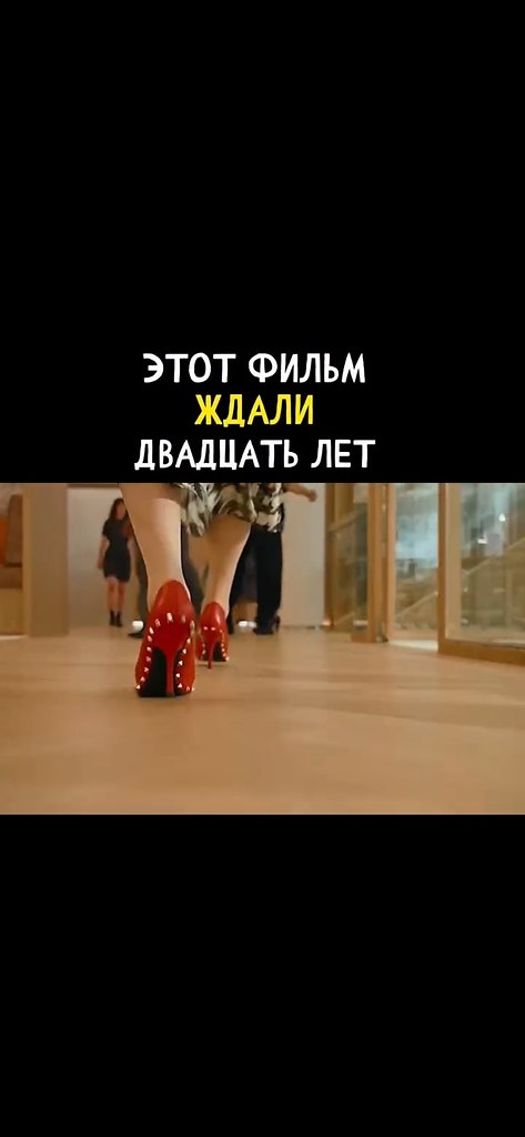         Prada.     ,  ... - 2