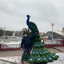 ���� ����, ������, 38 ��� - ��������� 8 ������ 2024 � ������ ���� ����������