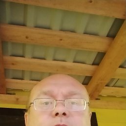 ������, 49 ���, ���������