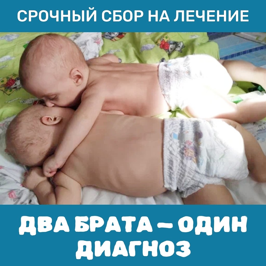 ������� ������� �������-��������� ���� �������. ����� �� ������� �����. ��� ������������ �����: ...