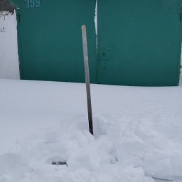 ����, ����, 43 ����