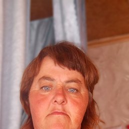 , 41 , 