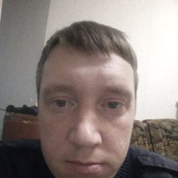 ���� ���������, ���������, 42 ���� - ��������� 1 ����� 2024