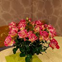 ���� �����, ��������, 52 ���� - ��������� 8 ����� 2026