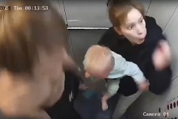 �����������