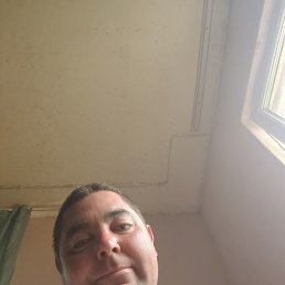 ������, ������, 42 ����