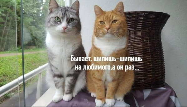 ��� ���� � ����� �� �� - 11 ��� 2026 � 10:55