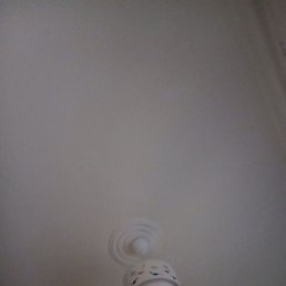 Nik, �����, 50 ���