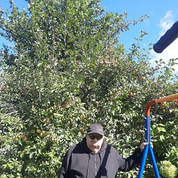 , 60 , 