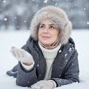 ���� �����, ��������, 49 ��� - ��������� 12 ������� 2026 � ������ ���� ����������