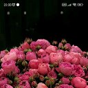 ���� �����, ��������, 41 ��� - ��������� 30 ���� 2026
