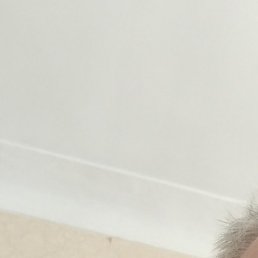 ����, �����-���������, 62 ����