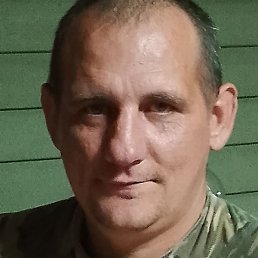 ������, �������, 41 ���