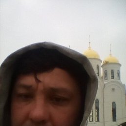 ���� ������� �������, �����, 43 ���� - ��������� 2 ������ 2026